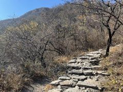 -阳台山自然风景区