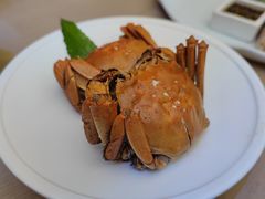 醉蟹-苏小柳点心·手作小笼包(浦东嘉里城分院)