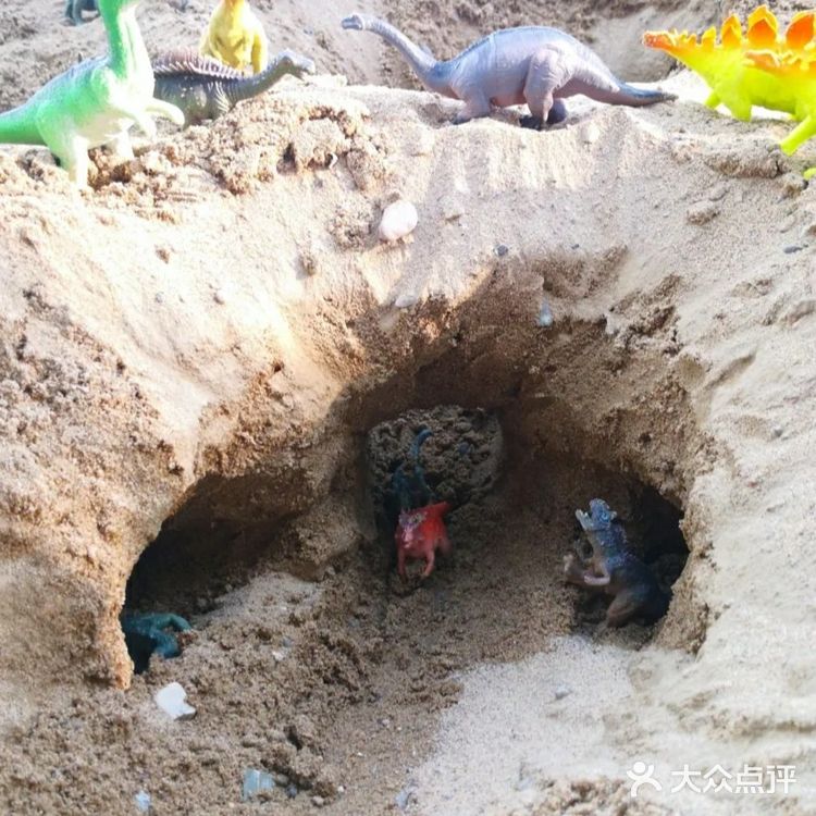 宝宝亲自挖出来的化石公园！