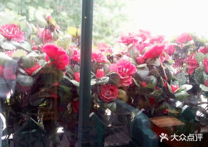 手选潮汕鲜活牛肉火锅(二七广场店)图片