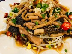 油淋双脆-新洞口小吃(三元二路店)