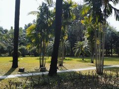 -荔枝公园(福田区)