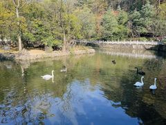 -黔灵山公园