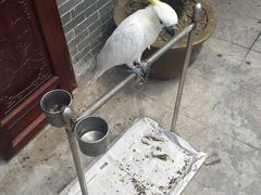 -四海楼(如皋定慧禅寺店)