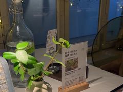 -春树下·树屋花房西餐厅(罍街AS1980店)