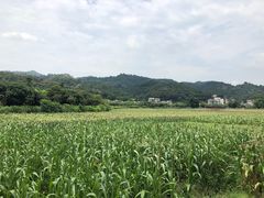 -红山村