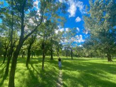 -承德避暑山庄景区