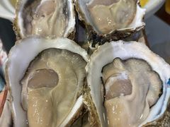 乳山生蚝-金龙·打边炉(武进路店)