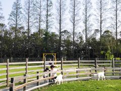 -前小桔亲子创意农场·草莓采摘·露营烧烤