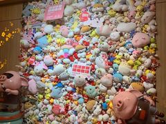 -汤连得温泉馆(宝山店)