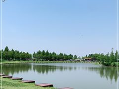 -宁波杭州湾国家湿地公园