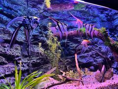 -上海海洋水族馆