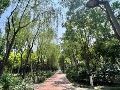 -大兴滨河森林公园