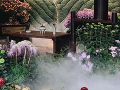 -杭州植物园