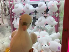 -汇德隆银隆