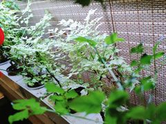 -望京一号·重庆江湖菜(工体店)