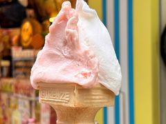 -柠檬车露(卖草地店)