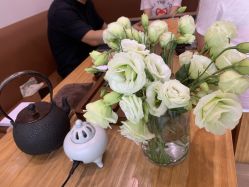 -LU YOGA（露瑜伽）专业瑜伽馆