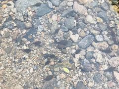 -碓臼峪自然风景区