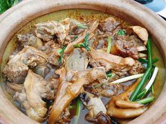 -霞姐屯昌枫木香草鸭店(海螺店)