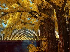 -红螺寺