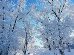 -中旅松花湖滑雪场