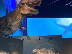 -贝林大翅鲸简餐厅(国家海洋博物馆店)