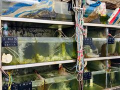 -凤城康记饭店