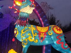 -武汉园博园(武汉自然博物馆)