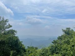 -鲁山国家森林公园