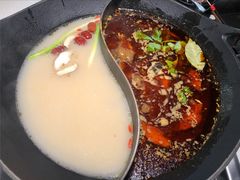红汤梭边鱼锅-新辣道鱼火锅(西直门店)