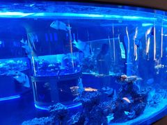 -上和臻品中国菜(花园街店)