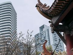 -朱氏胖子烂火锅(洪崖洞店)