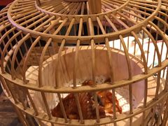 -胡桃里音乐酒馆(白云五号T5 MALL店)