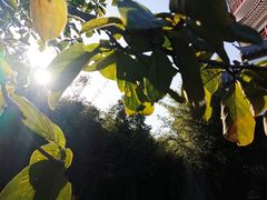 -信阳博物馆