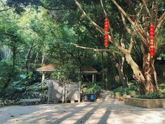 -广州市白云山风景名胜区