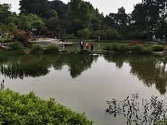 -铁山坪森林公园