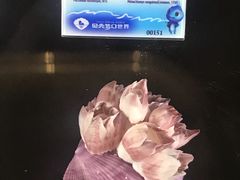 -贝壳梦幻世界