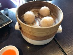-MR鹅外