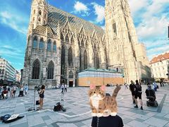 -斯蒂芬主教座堂(Stephansdom)