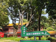 -南宁良凤江国家森林公园