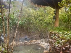 -深业半汤御泉庄温泉