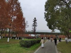 -白鹭湾湿地公园