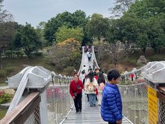 -东莞植物园