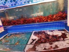 水产区-乔哥铭洋海鲜自助(皇城恒隆广场店)