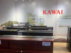 -柏斯音乐艺术中心·钢琴·吉他(世纪金源店)