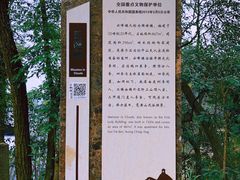 -南山植物园