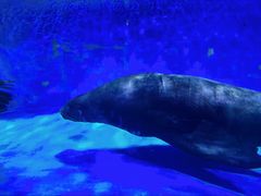 -上海海昌海洋公园-冰山北极馆