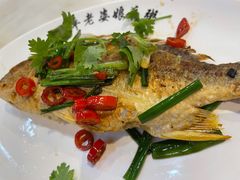 -长平老姿娘夜粥(平东一街店)