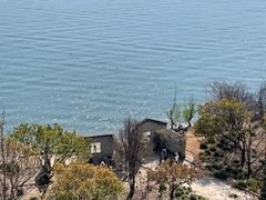 -鹿卧山遗址